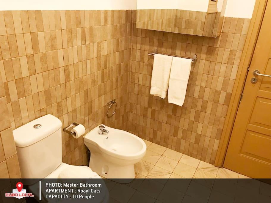 Royal Cats Apartment Порту Экстерьер фото